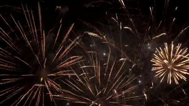 Volle Luminose Fuochi Artificio Nel Cielo Notturno Vacanze Città — Video Stock