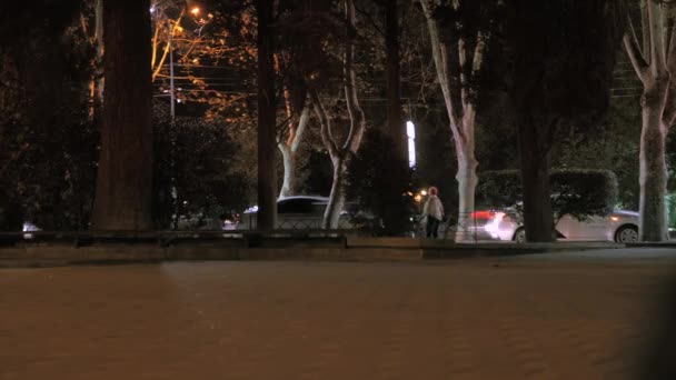 Parque Carretera Coches Pasando Disparos Acelerados Timelapse Tiempo Nocturno — Vídeo de stock