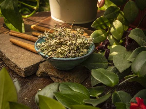 Té de tomillo en un plato pequeño con palitos de canela en una piedra . —  Fotos de Stock