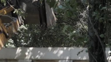 Bir traktör yeni asfalt döşemeden önce, bir konut binanın avlusında inşaat enkaz kaldırır. Güneşli yaz günü.