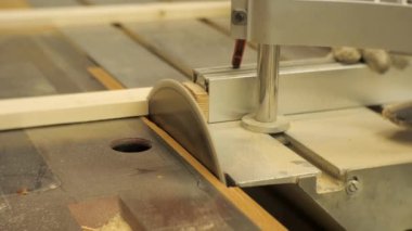 Marangozluk atölyesinde çalışan bir makineüzerinde testere panoları