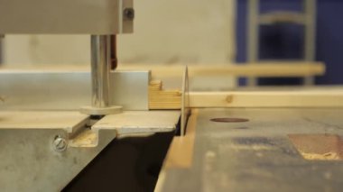 Marangozluk atölyesinde çalışan bir makineüzerinde testere panoları