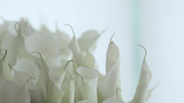 大きな花瓶に大きな白いカラスの花束 イベントでの装飾 — ストック動画