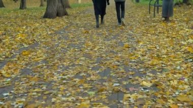 Sonbahar günü park yolunda yürü. Sarı yapraklar yolda