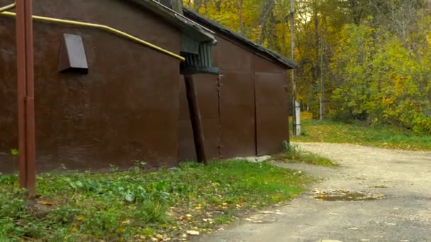 Wandel Langs Het Parkpad Herfstdag Gele Bladeren Baan — Stockvideo