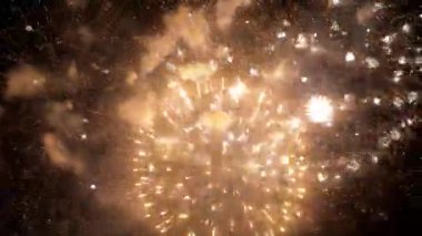 Tatilde gökyüzünde parlak havai fişekler. Yaz gecesi