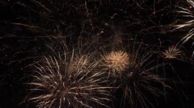 Tatilde gökyüzünde parlak havai fişekler. Yaz gecesi