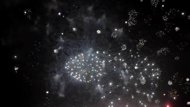 Fuegos Artificiales Brillantes Cielo Nocturno Unas Vacaciones Noche Verano — Vídeos de Stock