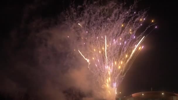 Fuochi Artificio Lucenti Nel Cielo Notturno Durante Una Vacanza Notte — Video Stock