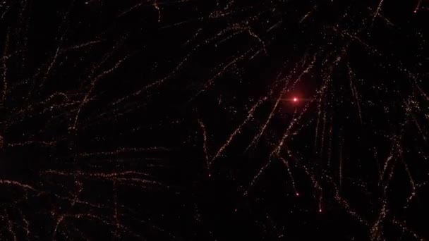 Helder Vuurwerk Aan Nachtelijke Hemel Vakantie Zomer Nacht — Stockvideo