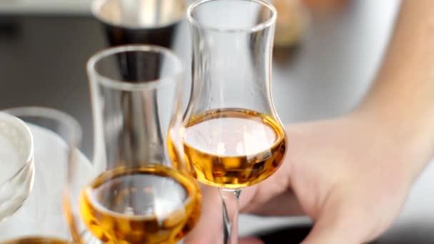 Uísque Copos Uma Perna Fina Prova Whisky Festa Cocktail Dia — Vídeo de Stock