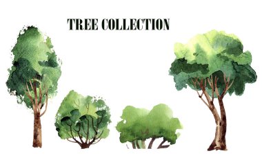 El yapımı ağaç topluluğu. Vektör suluboya ağaçları Illustration. Orman ağaç.