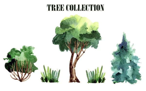 Eine Sammlung Handgemachter Bäume Vektor Aquarell Illustration Von Bäumen Waldholz — Stockvektor