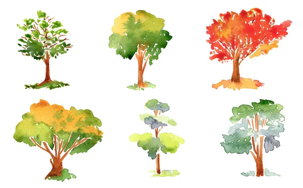 Akvarell Stil Vektor Illustration Samling Träd Buskar Och Gräs Isolerad — Stock vektor