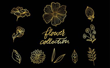 Eski veya antika tarzı oyulmuş el çizimleri, vintage çiçekleri bir dizi süs çiçek kaligrafi unsurları ile. Logo veya amblem, retro etiket ve rozeti. Süs eşyaları ve Monogram.