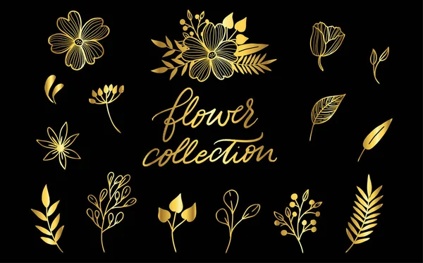 Çok detaylı çizilmiş öğeleri çiçek kümesi. Vektör çizim.