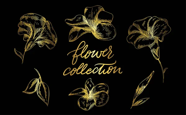 Eski veya antika tarzı oyulmuş el çizimleri, vintage çiçekleri bir dizi süs çiçek kaligrafi unsurları ile. Logo veya amblem, retro etiket ve rozeti. Süs eşyaları ve Monogram.