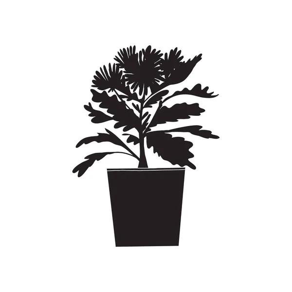 Vektorsilhouette Der Topfpflanze Schwarz Weiß Stil Zimmerpflanzen Handgezeichnete Vektorgrafik Isoliert — Stockvektor