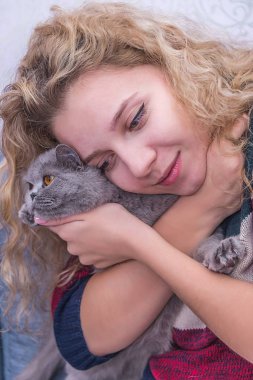 kıvırcık saçlı kız gri bir İskoç kedi, bir sevgili evde beslenen hayvan sarılma