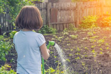 kız mavi tişört ile güneşli havalarda yeşil bir hortum su bahçe sulama