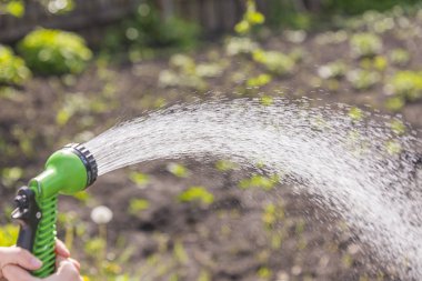 Yeşil bir hortum ile el parlak hava bahçede su dökmek
