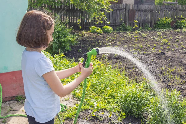 Girl Blue Shirt Watering Garden Water Green Hose Sunny Weather — Stock Photo, Image