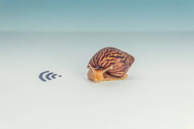 yavaş Internet, salyangoz ve wifi, sağlayıcı hız kavramı