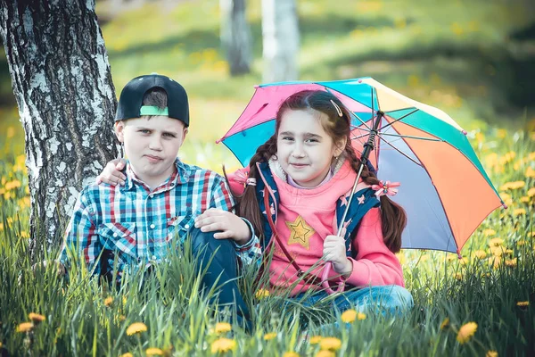 Çocuk bir şemsiye, bir oğlan ve bir kız dostça renkli bir şemsiye ile yaz aylarında yürüyüş ile parkta yürümek