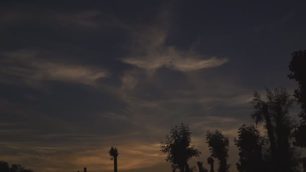 Het Verkeer Van Wolken Zonsondergang Timlamps Wolken Vluchten Avond Vogels — Stockvideo