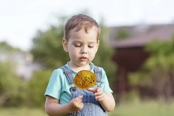 Pojke Med Lollipop Hans Trollstav Hans Händer Som Går Längs — Stockfoto