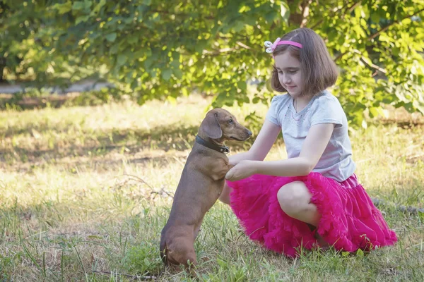 Uma Menina Acariciando Seu Cão Caça Favorito Dachshund Salsicha Suas — Fotografia de Stock
