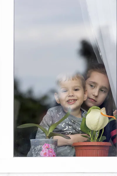 Усміхнені Діти Які Дивляться Вікно Вулиці — стокове фото