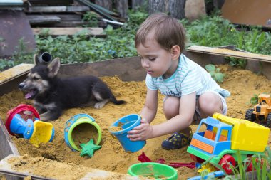 bir yaz gününde bir sanal bir çocukla oynayan köpek
