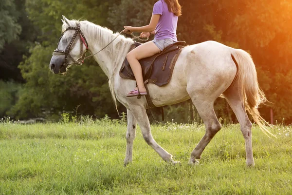 Une Fille Chevauchant Cheval Coucher Soleil Été — Photo