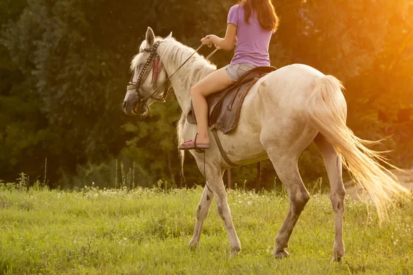 夏の夕暮れ時 馬に乗る女の子 — ストック写真