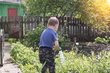 bir çocuk bahçesinde çiçekler, küçük bir çocuk bir su hortumu Bahçe sulama ile sulama