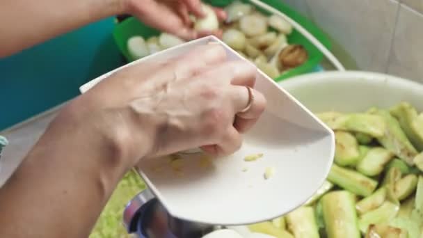 Picadora Carne Eléctrica Gira Las Verduras Para Cosecha Para Invierno — Vídeos de Stock