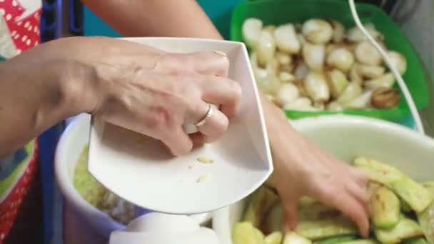 Picadora Carne Eléctrica Gira Las Verduras Para Cosecha Para Invierno — Vídeos de Stock