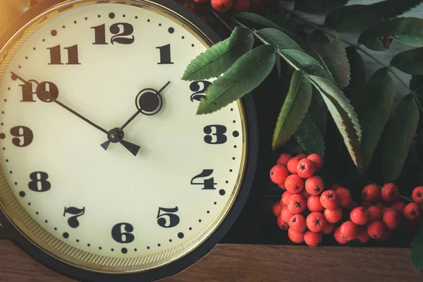 Autumn Composition Clock Cluster Mountain Ash Yellow Leaves Clock Time — Stock Photo, Image