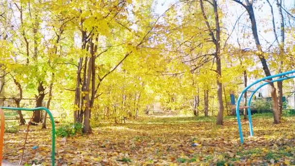 Φθινοπωρινή Αυλή Κίτρινα Δέντρα Στην Αυλή Μιας Πολυκατοικίας Παιδική Χαρά — Αρχείο Βίντεο