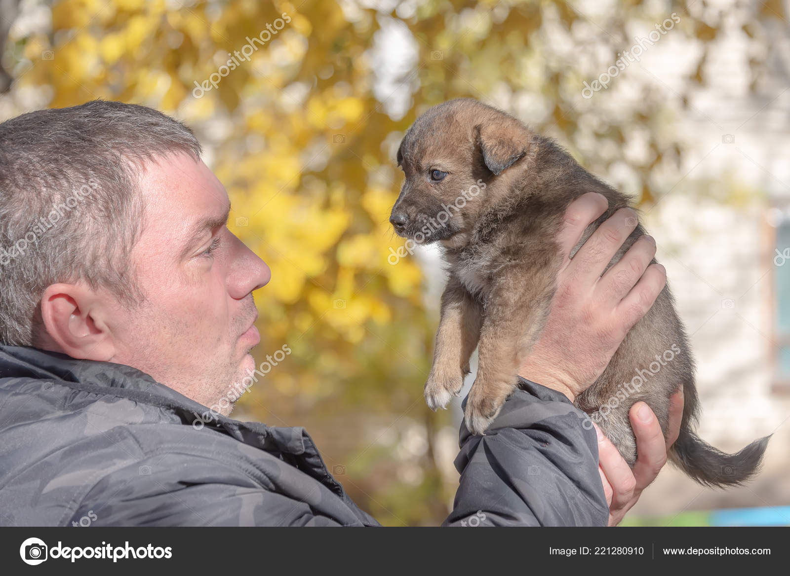 Chiot Bâtard Provenant Abri Sur Mains Mâles Adoption