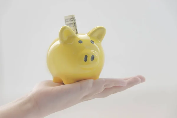 yellow pig moneybox in the hands of a child. one dollar. White background