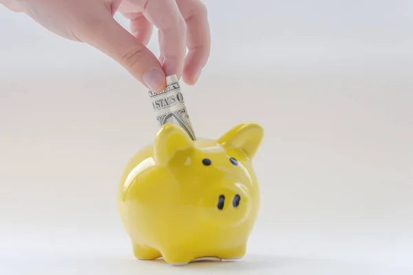 Hand Zet Een Dollar Piggy Bank Geldbeleggingen — Stockfoto