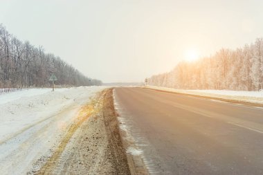 gün ışığından yararlanma saat, ağaçlar kar ve sis sırasında road yakınındaki kış orman
