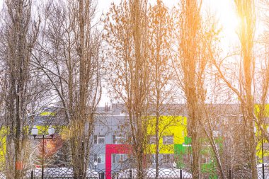 kış orman gün süre içinde bir şehir manzarası road yakınındaki