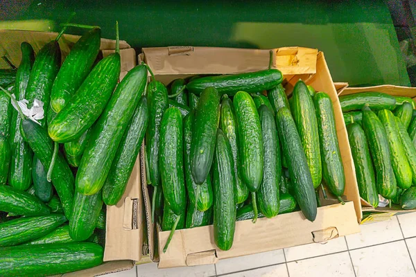 Verduras en un mostrador en el mercado, verduras en la tienda — Foto de Stock