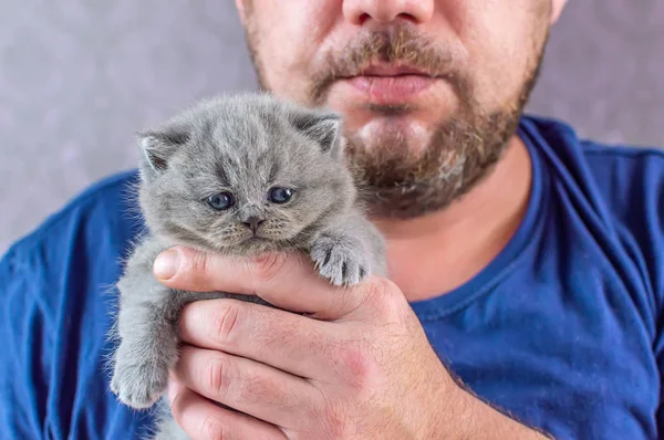 De bebaarde man omvat een kleine kitten — Stockfoto