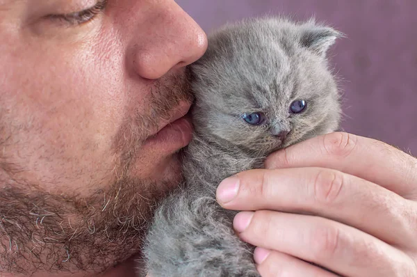 De bebaarde man omvat een kleine kitten — Stockfoto