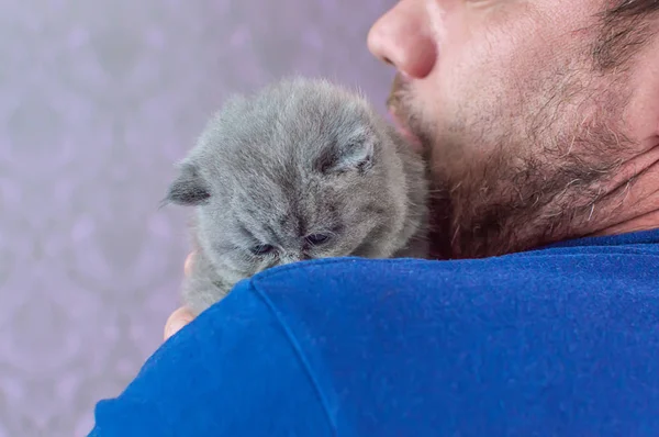De bebaarde man omvat een kleine kitten — Stockfoto