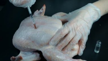 Bir tavuk, GDO ürünler şırınga laboratuvarda zararlı bir madde olarak sağlık açısından zararlı içine kimya enjeksiyon
